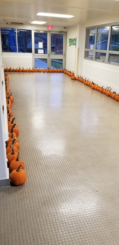 Elementary Pumpkin Day 